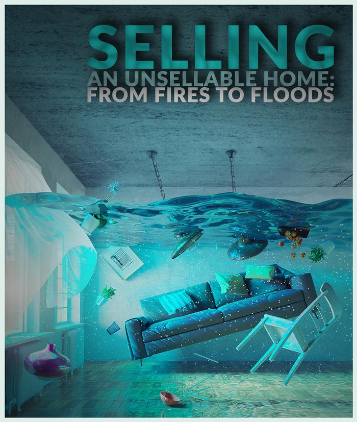 offrs Reviews Slim Pickins (Selling an Unsellable Home)