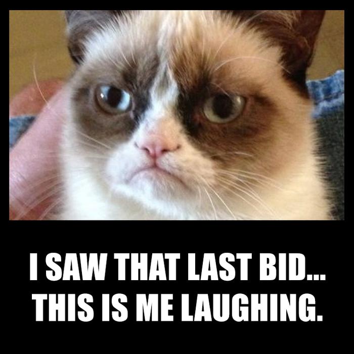 I saw that last bid... this is me laughing (fun infographics and memes by offrs)