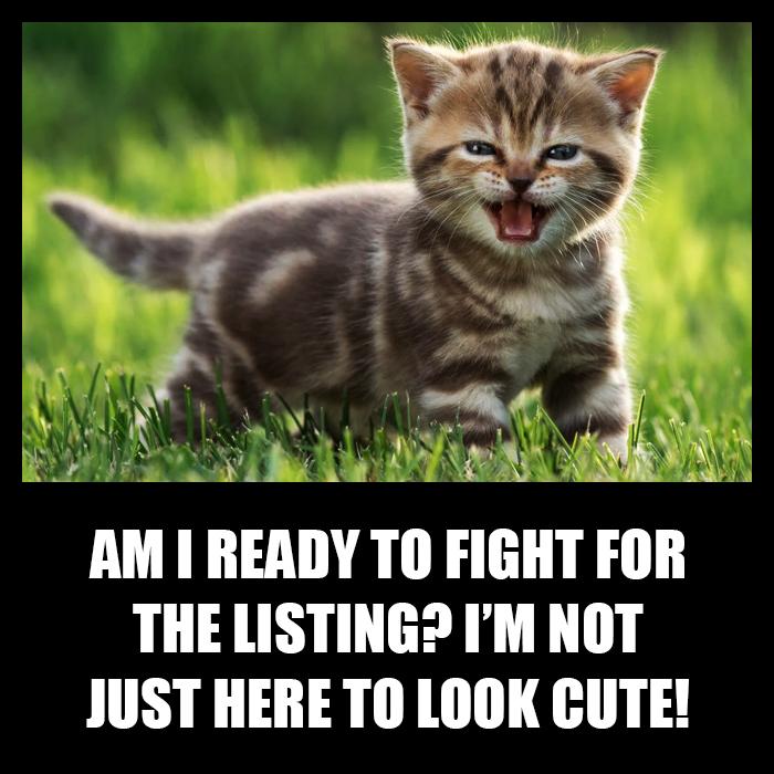 Am I ready to fight for the listing? I'm not just here to look cute!